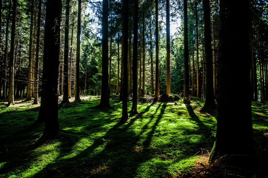 poa-going_green