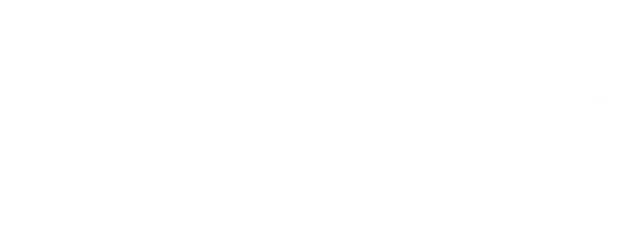 Arctic Wolf