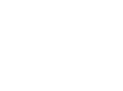 Duplo
