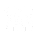 Professional Services