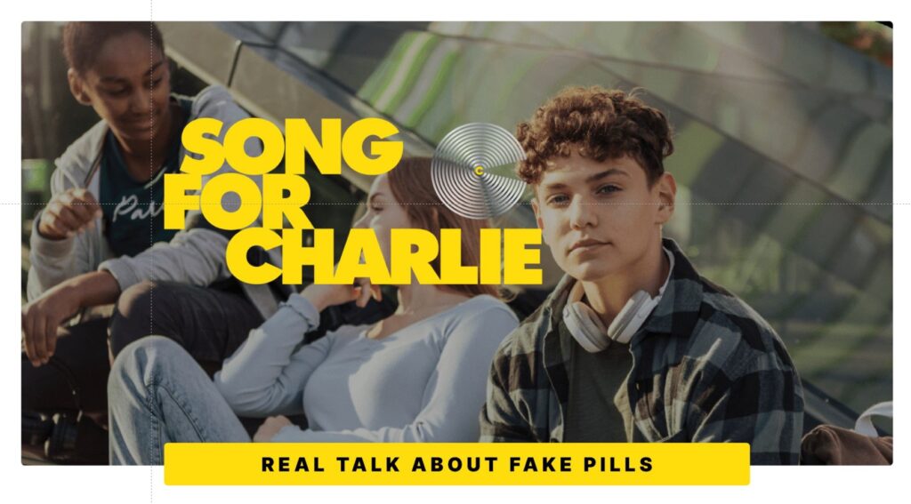Song for Charlie cover image